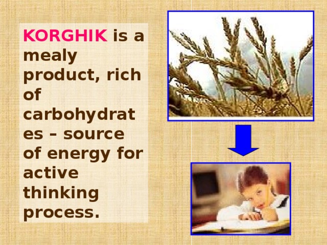 KORGHIK is a mealy product, rich of carbohydrates – source of energy for active thinking process. 