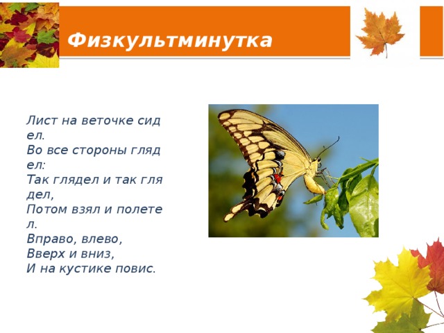 Физкультминутка   Лист на веточке сидел. Во все стороны глядел: Так глядел и так глядел, Потом взял и полетел. Вправо, влево, Вверх и вниз, И на кустике повис. 