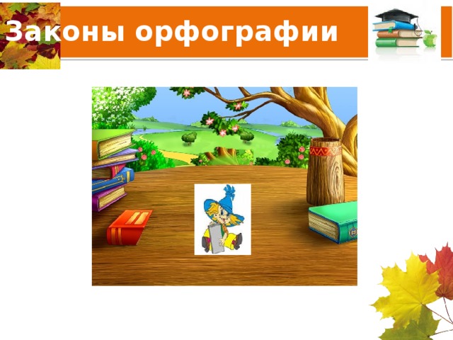 Законы орфографии 