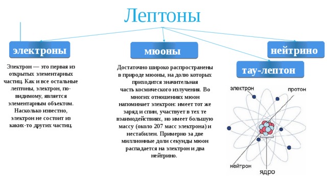 Лептоны презентация 11 класс