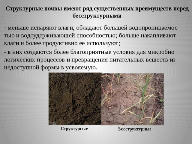 Какая структура почва благоприятна для сельскохозяйственных растений. Плитчатая структура почвы. Структура почвы структурная бесструктурная. Структурное состояние почвы. Бесструктурная почва.