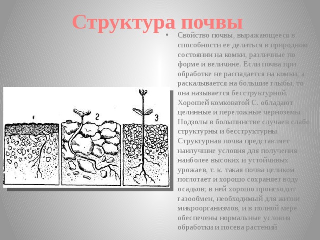 Как определяется структура почвы. Структура почвы. Состав и структура почвы. Структурирование почвы. Структурная составляющая почвы.