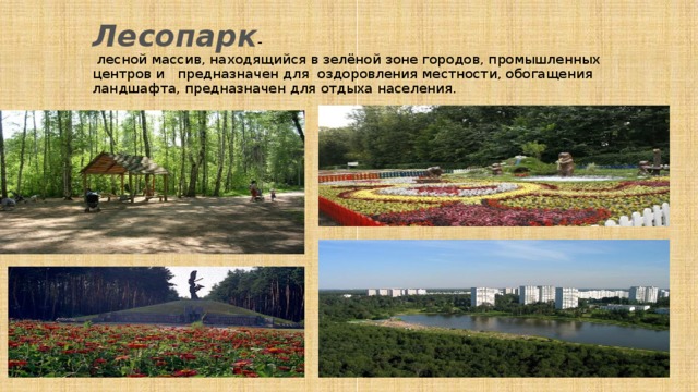 Лесопарк лесной энгельс карта