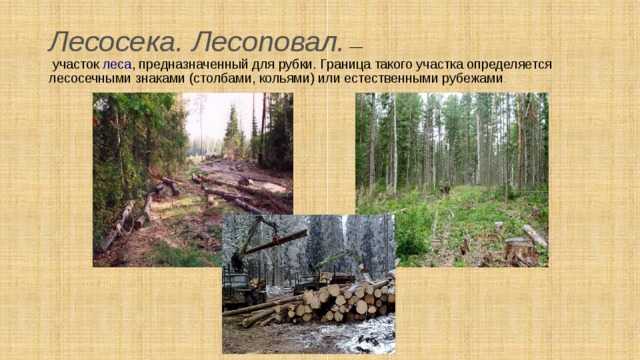 Лесосека. Лесоповал.  —  участок  леса , предназначенный для рубки. Граница такого участка определяется лесосечными знаками (столбами, кольями) или естественными рубежами . 