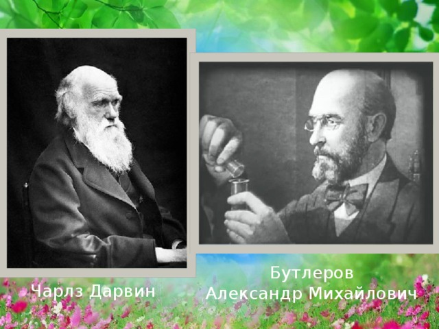 Бутлеров Александр Михайлович Чарлз Дарвин 