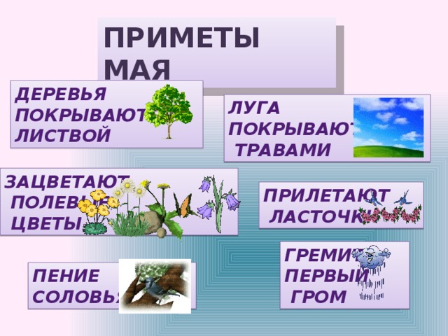 Приметы на май картинки
