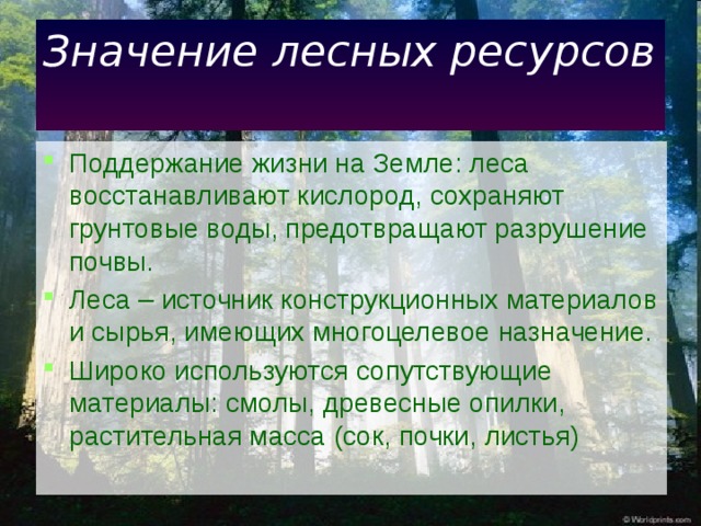 Презентация лесные ресурсы 10 класс география