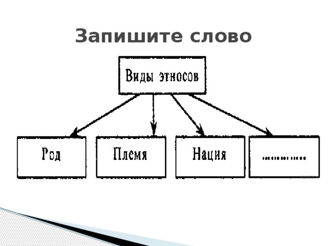 Дополни схему род племя