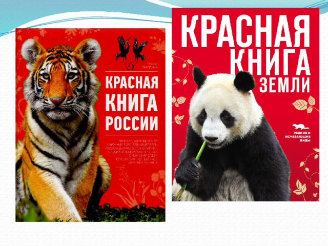 Красная книга фото обложки для презентации