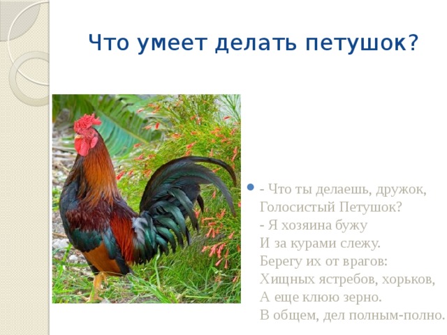 Презентация о городе петушки