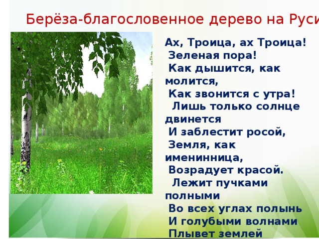 Праздник березки презентация