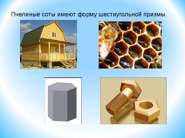 Пчелиные соты имеют форму шестиугольной призмы. 2 