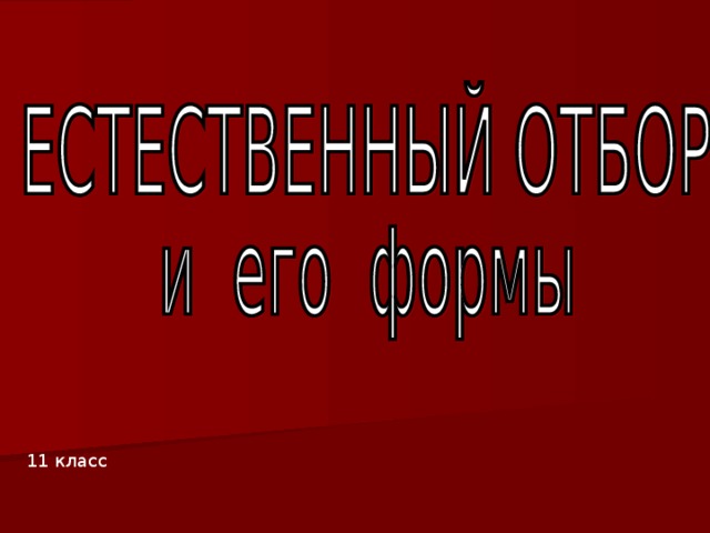 11 класс 