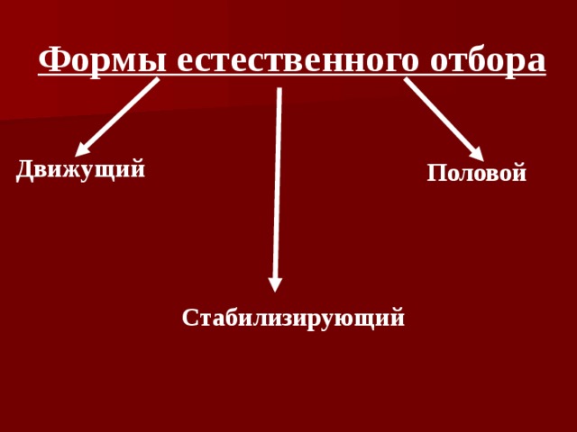 Естественная форма