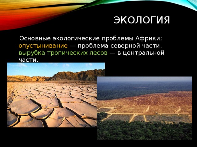Экология  Основные экологические проблемы Африки: опустынивание  — проблема северной части, вырубка тропических лесов  — в центральной части. 