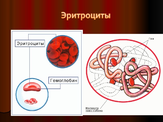 Гемоглобин презентация по химии