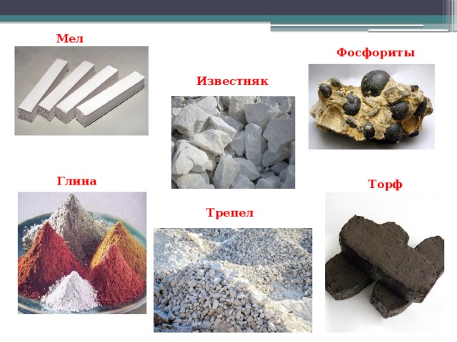 Рассмотрите образцы горных пород и заполните таблицу кварц каменная соль каменный уголь мрамор мел