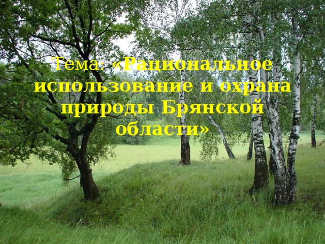 Охрана природы в брянской области проект