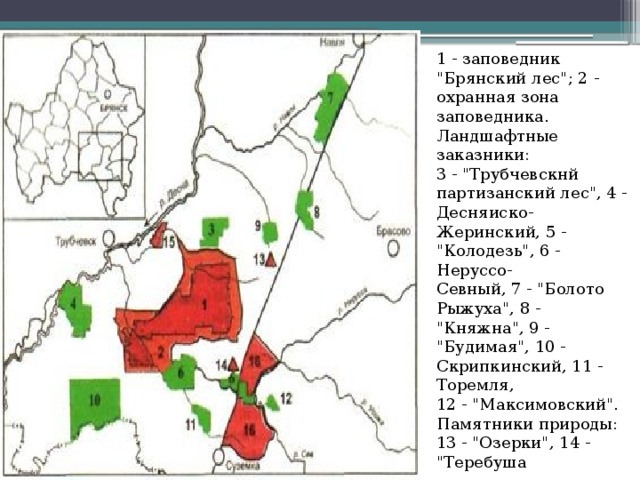 Снежетьское лесничество брянск карта