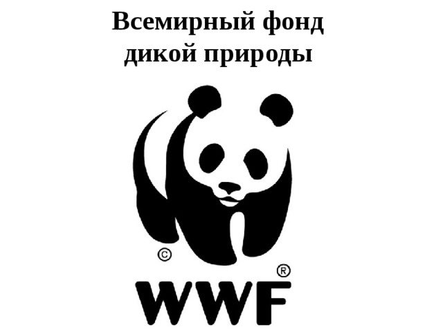 Всемирный фонд дикой природы 