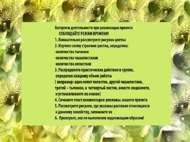 Использование проектов на уроках биологии