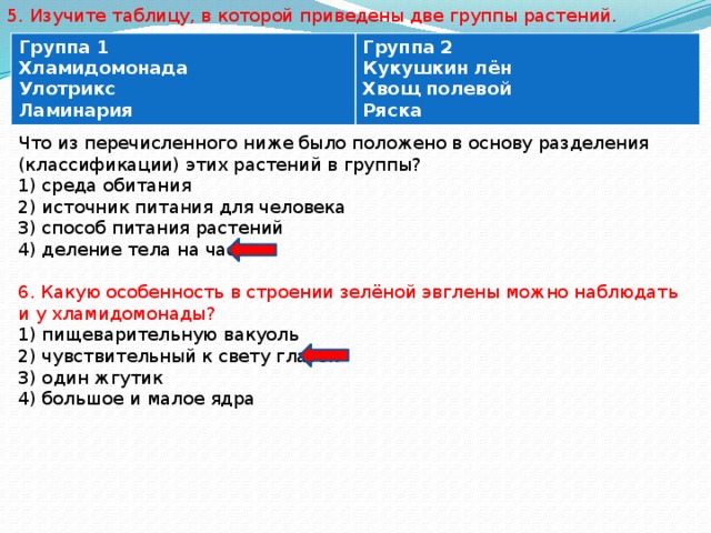 На что из перечисленного ниже в первую очередь должна быть направлена мотивация во внешнем проекте