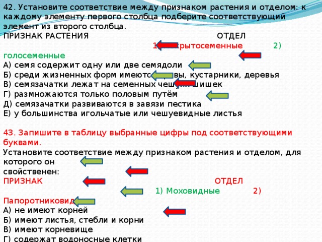 Между признаком растений и отделом