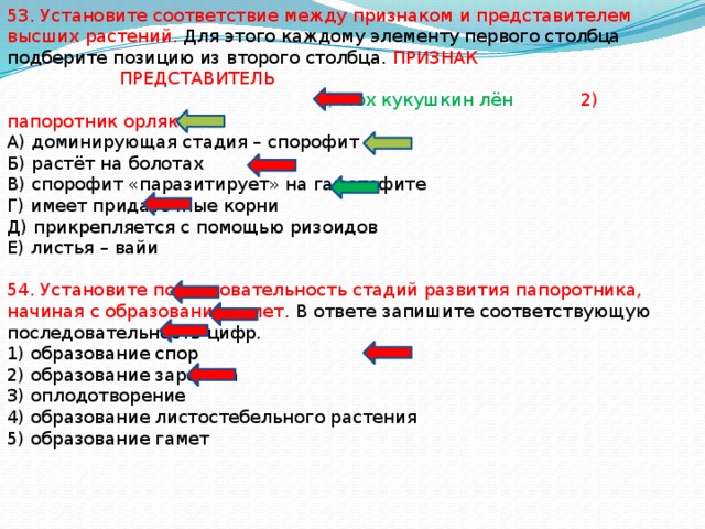 Установите соответствие между признаками и группами рыб. Установите соответствие между характеристиками и группами растений. Установите соответствие между характеристиками и отделами растений.