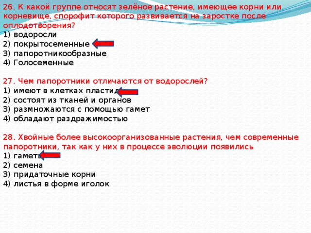 26. К какой группе относят зелёное растение, имеющее корни или корневище, спорофит которого развивается на заростке после оплодотворения? 1) водоросли 2) покрытосеменные 3) папоротникообразные 4) Голосеменные 27. Чем папоротники отличаются от водорослей? 1) имеют в клетках пластиды 2) состоят из тканей и органов 3) размножаются с помощью гамет 4) обладают раздражимостью 28. Хвойные более высокоорганизованные растения, чем современные папоротники, так как у них в процессе эволюции появились 1) гаметы 2) семена 3) придаточные корни 4) листья в форме иголок 