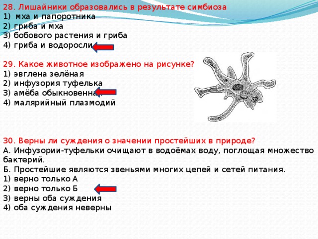 Инфузория туфелька очищает в водоемах воду поглощая. Лишайник образуется в результате симбиоза.