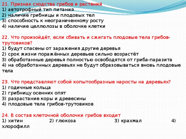 21. Признак сходства грибов и растений 1) автотрофный тип питания 2) наличие грибницы и плодовых тел 3) способность к неограниченному росту 4) наличие целлюлозы в оболочке клетки 22. Что произойдёт, если сбивать и сжигать плодовые тела грибов-трутовиков? 1) будут спасены от заражения другие деревья 2) срок жизни поражённых деревьев сильно возрастёт 3) обработанные деревья полностью освободятся от гриба-паразита 4) на обработанных деревьях не будут образовываться вновь плодовые тела 23. Что представляют собой копытообразные наросты на деревьях? 1) годичные кольца 2) грибницу осенних опят 3) разрастание коры и древесины 4) плодовые тела грибов-трутовиков 24. В состав клеточной оболочки грибов входит 1) хитин 2) глюкоза 3) крахмал 4) хлорофилл 