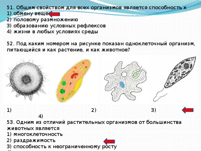 Под каким номером на рисунке