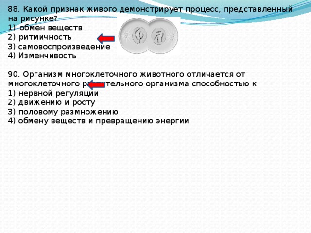 Какой признак живого демонстрирует процесс представленный на рисунке обмен веществ ритмичность ответ