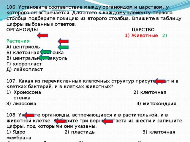 Установите соответствие между организмами и царствами. Установите соответствие между органоидом. Установите соответствие между признаком организма и царством. Установите соответствие между органоидами и их функциями. Соответствие между органоидом клетки и его видом.