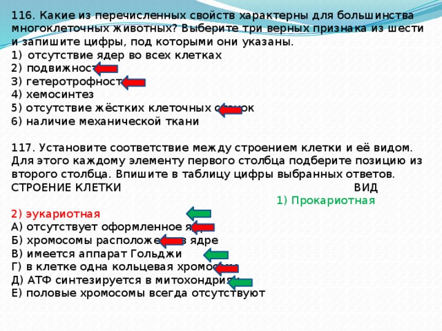 Запишите цифры под которыми они указаны