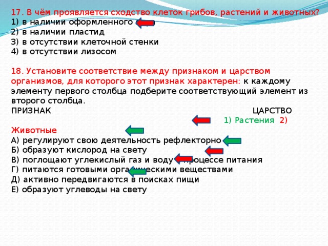 В чем проявляется сходство сша и канады