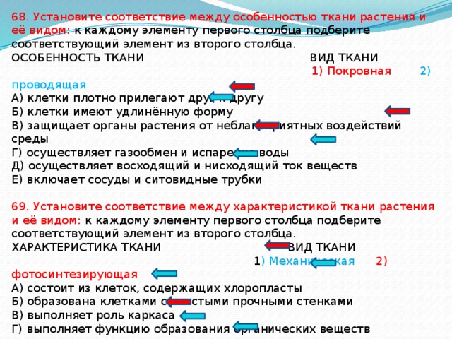 Установите соответствие между характеристиками и структурами клетки обозначенными цифрами на рисунке