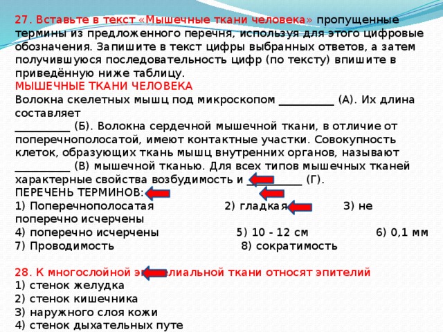 Вставьте пропущенные термины из предложенного перечня