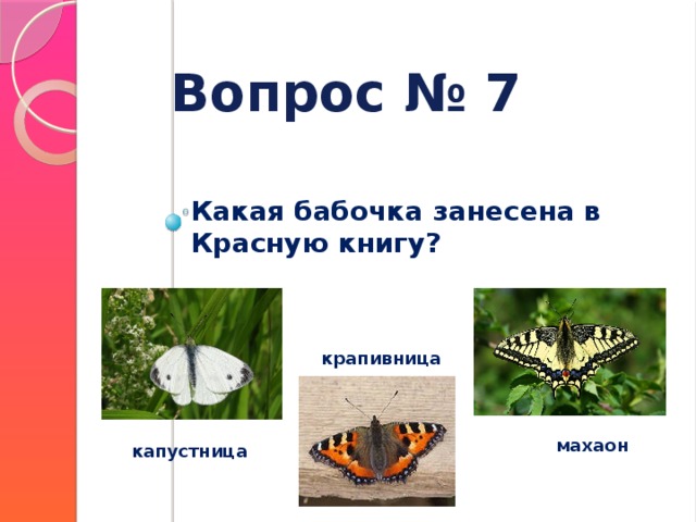 Вопрос № 7 Какая бабочка занесена в Красную книгу? крапивница махаон капустница 