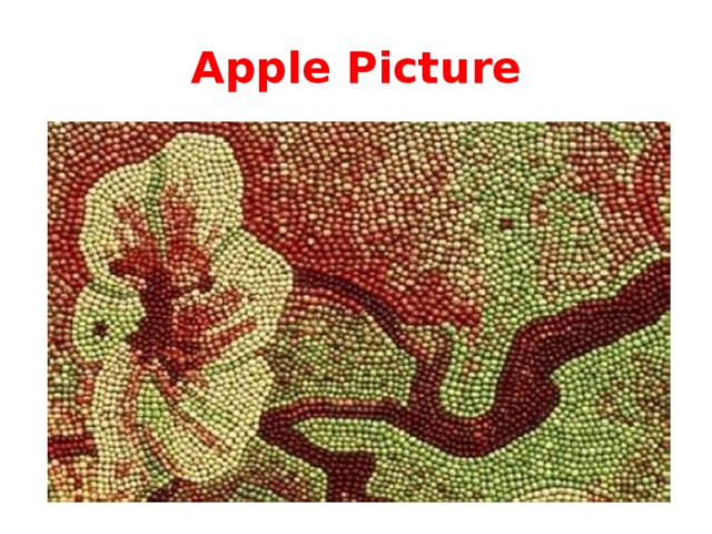 Apple Picture 