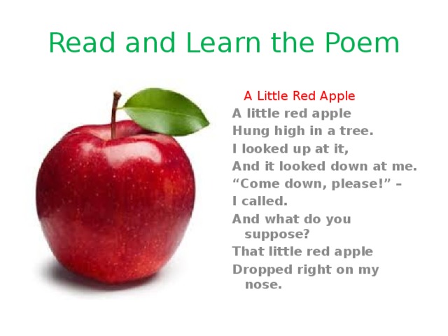 Read and Learn the Poem  A Little Red Apple A little red apple Hung high in a tree. I looked up at it, And it looked down at me. “ Come down, please!” – I called. And what do you suppose? That little red apple Dropped right on my nose. 