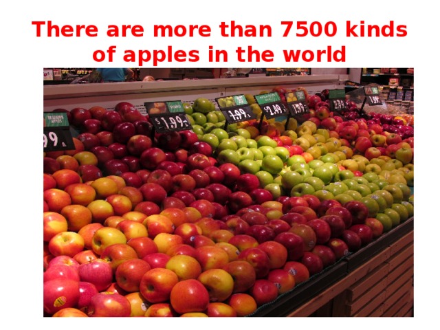 There are more than 7500 kinds of apples in the world 