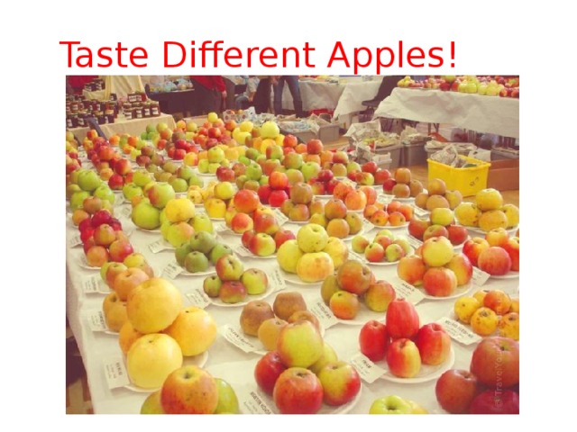 Taste Different Apples! 