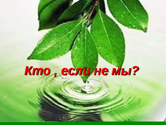  Кто , если не мы? 