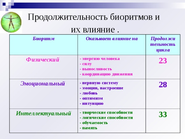 Продолжительность биоритмов и  их влияние . Биоритм Оказывает влияние на Физический Продолжи тельность цикла - энергию человека - силу - выносливость - координацию движения Эмоциональный - нервную систему - эмоции, настроение - любовь - оптимизм - интуицию 23 Интеллектуальный 28 - творческие способности - логические способности - обучаемость - память 33 