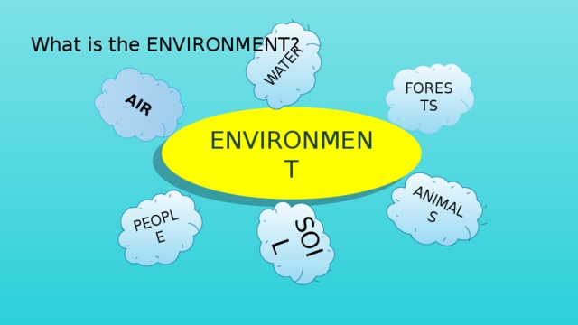 AIR ANIMALS SOIL PEOPLE WATER What is the ENVIRONMENT? FORESTS ENVIRONMENT 