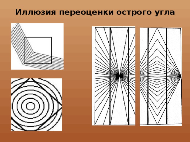 Иллюзия переоценки острого угла в одежде