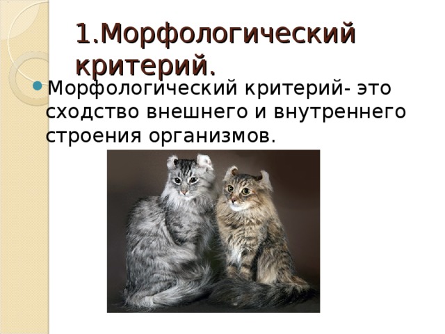 1.Морфологический критерий. Морфологический критерий- это сходство внешнего и внутреннего строения организмов. 