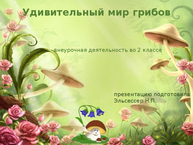 Удивительный мир грибов внеурочная деятельность во 2 классе презентацию подготовила Эльсессер Н.П. 