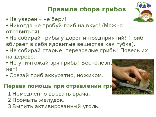 Правила сбора грибов  Не уверен – не бери!  Никогда не пробуй гриб на вкус! (Можно отравиться).  Не собирай грибы у дорог и предприятий! (Гриб вбирает в себя ядовитые вещества как губка).  Не собирай старые, перезрелые грибы! Повесь их на дерево.  Не уничтожай зря грибы! Бесполезных грибов нет!  Срезай гриб аккуратно, ножиком. Первая помощь при отравлении грибами  1.Немедленно вызвать врача.  2.Промыть желудок.   3.Выпить активированный уголь. 